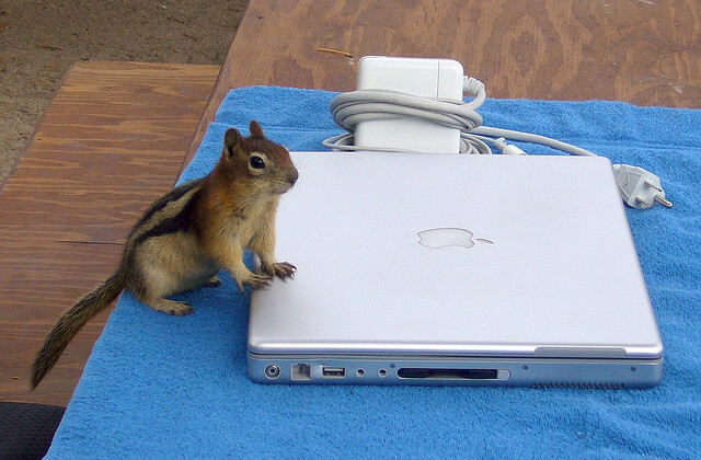 Ett äpple om dagen: få ut det mesta av äldre MacBook-chipmunk