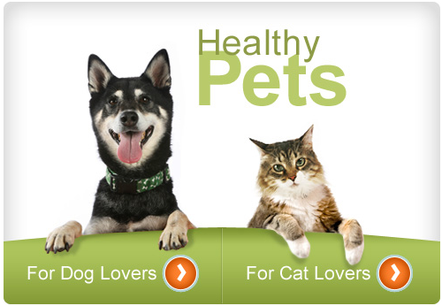 WebMD-pets