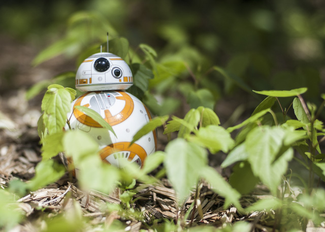 Feline the Force: Sphero Star Wars BB-8 Review och Giveaway DSC 0037