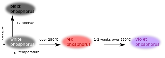 Fosfor-Allotropes.svg