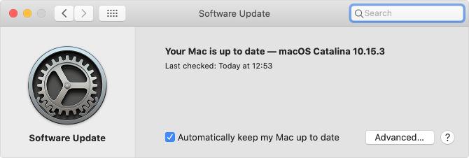 Sidan Inställningar för programvaruuppdatering i macOS