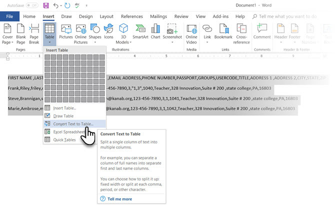 Microsoft Word Konvertera text till tabell