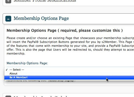 Hur man skapar en webbplats som endast är medlemskap med hjälp av WordPress 06b Alternativ för sidalternativ