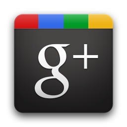 google plus guide