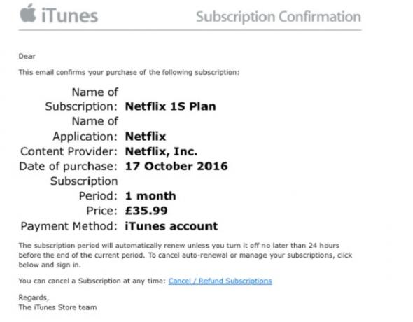 iTunes Netflix Scam Email