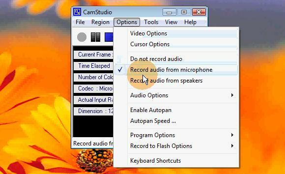 camstudio_audio