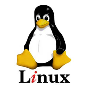 enklaste versionen av Linux