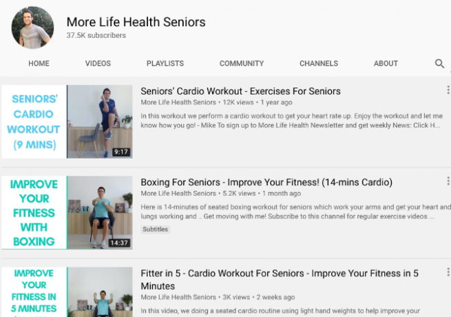 More Life Health Seniors lär seniorer att hålla sig i form och friska hemma med stående och sittande konditionsträning 