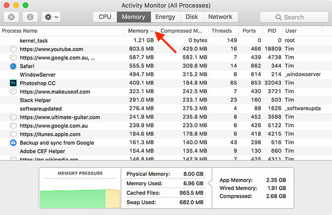 Activity Monitor Memory Use Mac