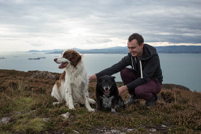 Nala hunden på landskapsbakgrund